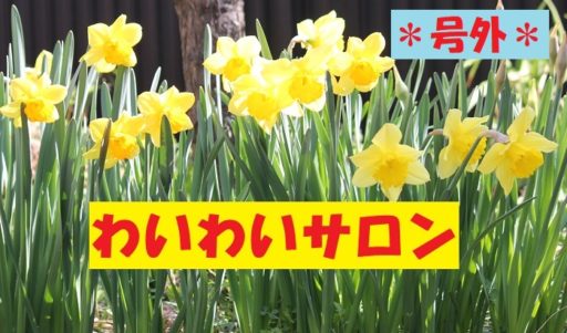 【＊号外＊】 わいわいサロン表彰！ （令和元年６月２３日）