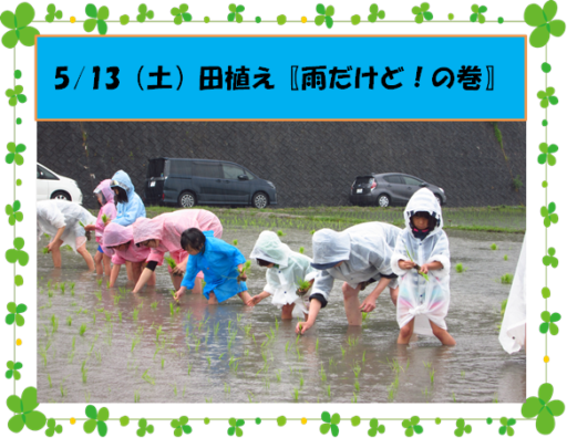 5/13（土）田植え〖雨だけど！の巻〗