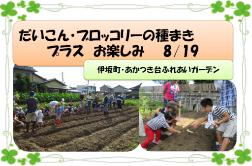 8/19（土）だいこん・ブロッコリーの種まきのお手伝い