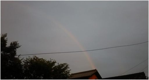 10/29親子で作ろうこいのぼり