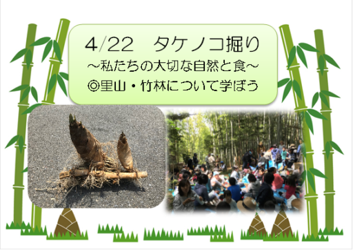 4/22　タケノコ掘り　四日市大学にて