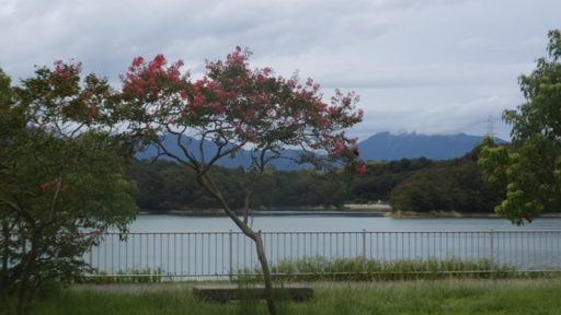 ちょっと寄り道・・・（台風２１号のあとの伊坂ダム）