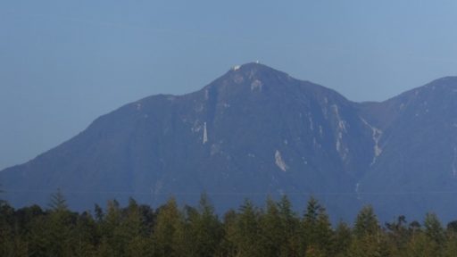 ちょっと寄り道・・・（朝明川の自然）