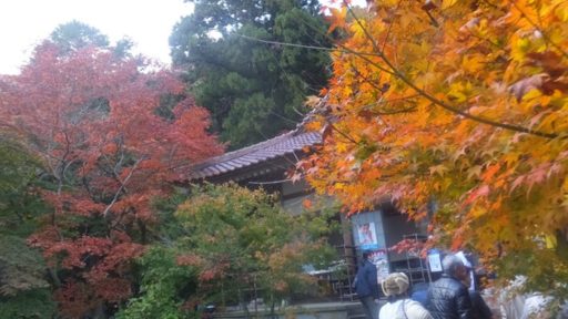 ちょっと寄り道・・・（聖宝寺から野尻駅へ）