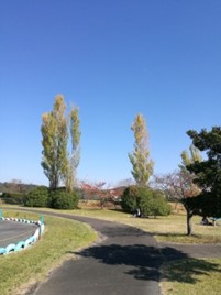 ちょっと寄り道・・・（２０１８年八郷フェスタin伊坂ダムに寄せて）