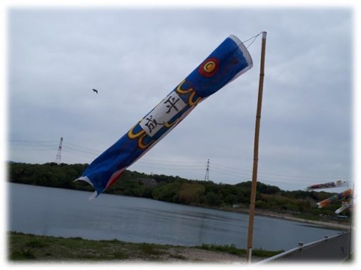 こいのぼりの制作風景