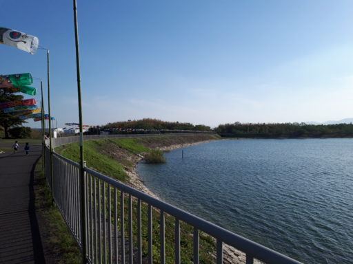 個性豊かなこいのぼりパート3