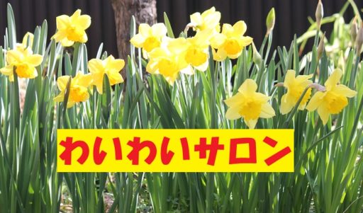 第８４回わいわいサロン開催（令和元年８月２８日）