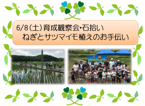 6/8（土）ふれあいガーデンでのお手伝い