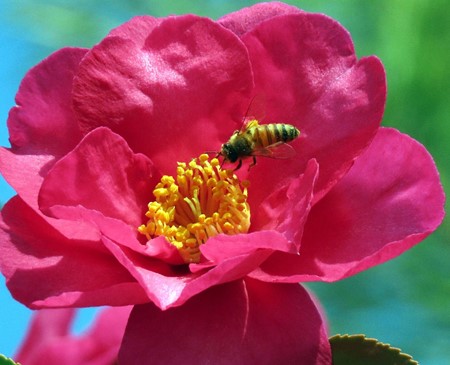 ちょっと寄り道・・・（冬の色）