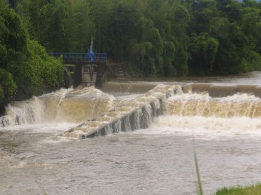 ちょっと寄り道・・・（梅雨の表情）
