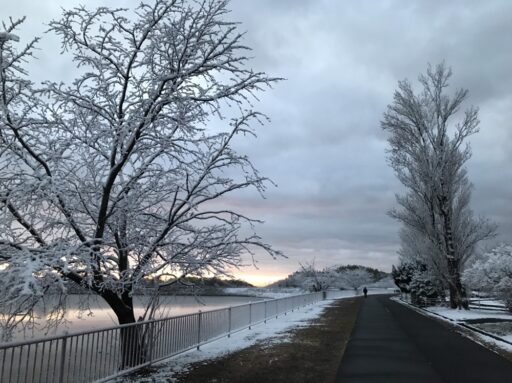 ちょっと寄り道・・・（伊坂ダムの雪景色）