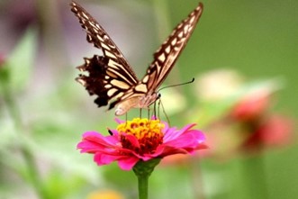 ちょっと寄り道・・・（夏から秋へ）
