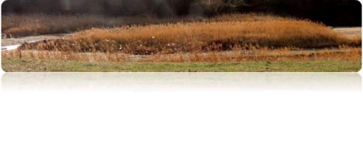 ちょっと寄り道・・・（冬の風景）