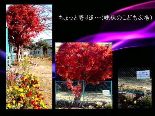 ちょっと寄り道・・・（晩秋のこども広場）