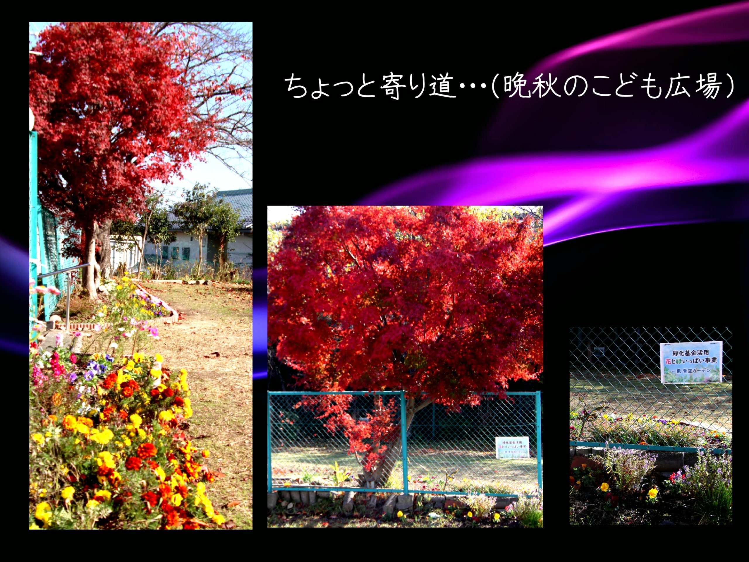 ちょっと寄り道・・・（晩秋のこども広場）