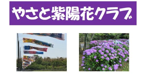 もうすぐ春ですね！