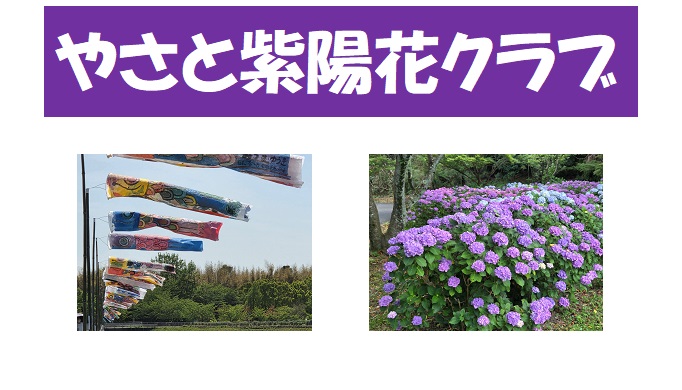 たくさんのお申し込みありがとうございます