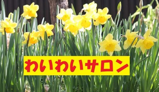 第３０２回わいわいサロン開催（２０２６年３月１１日）