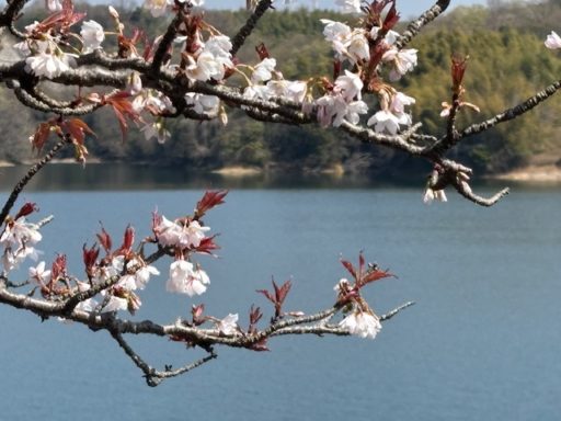 あかつき寿会解散のご挨拶